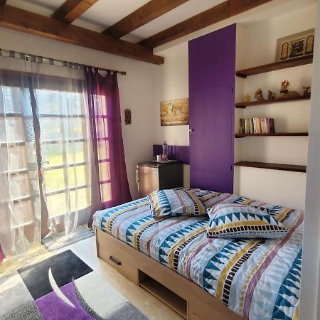 טונון-לה-בן Maison Le Lezard Chez Amalia Et Fred מראה חיצוני תמונה