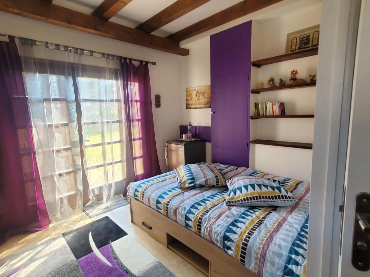 טונון-לה-בן Maison Le Lezard Chez Amalia Et Fred מראה חיצוני תמונה